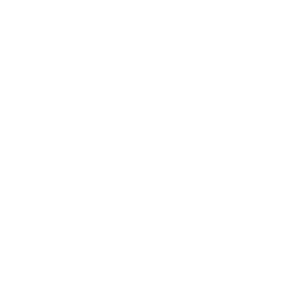 logo 99site